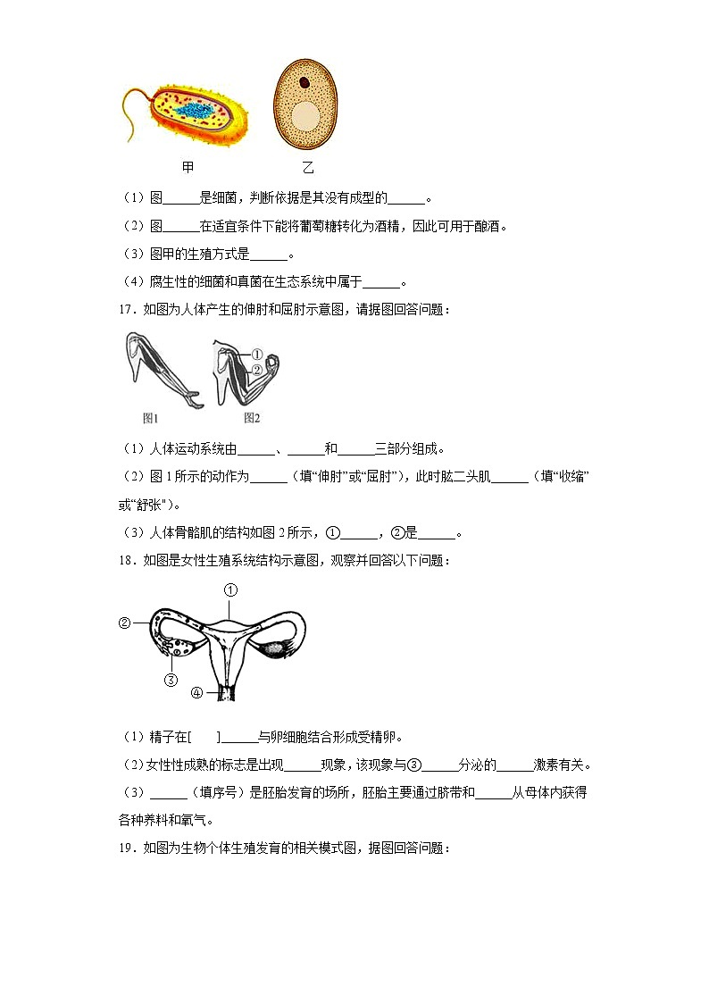 广西河池市2021-2022学年八年级上学期期末生物试题（word版 含答案）03