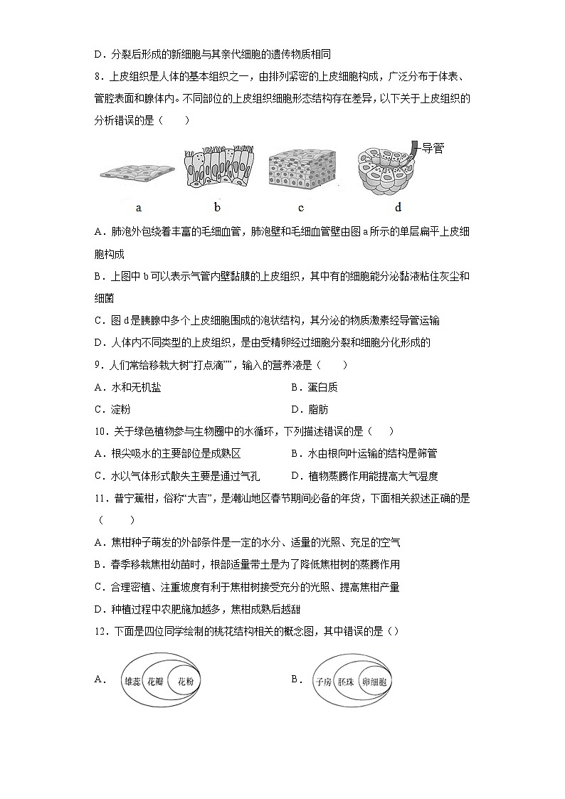 广东省揭阳市普宁市2021-2022学年九年级上学期期末生物试题（word版 含答案）03
