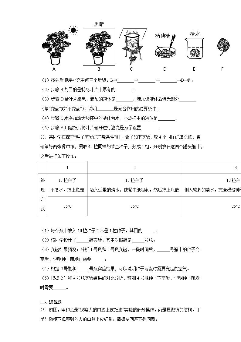 吉林省大安市2021-2022学年七年级上学期期末生物试题（word版 含答案）第3页