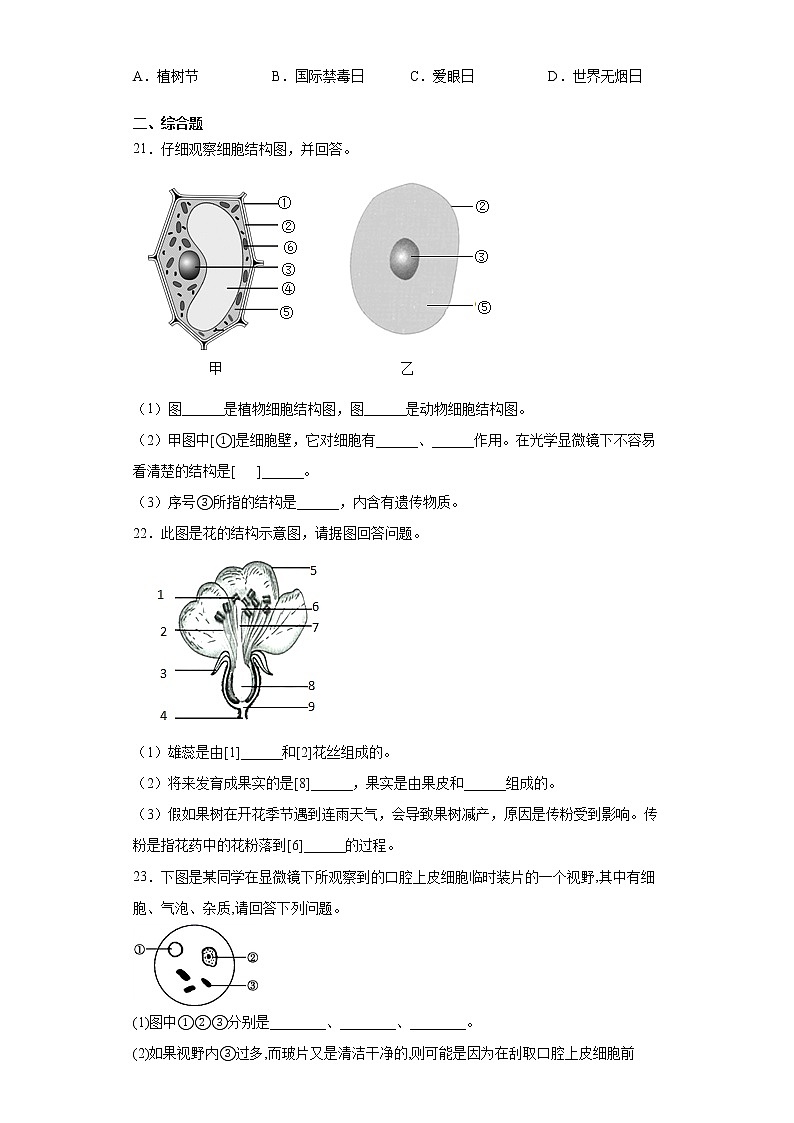 吉林省四平市伊通满族自治县2021-2022学年七年级上学期期末生物试题（word版 含答案）03