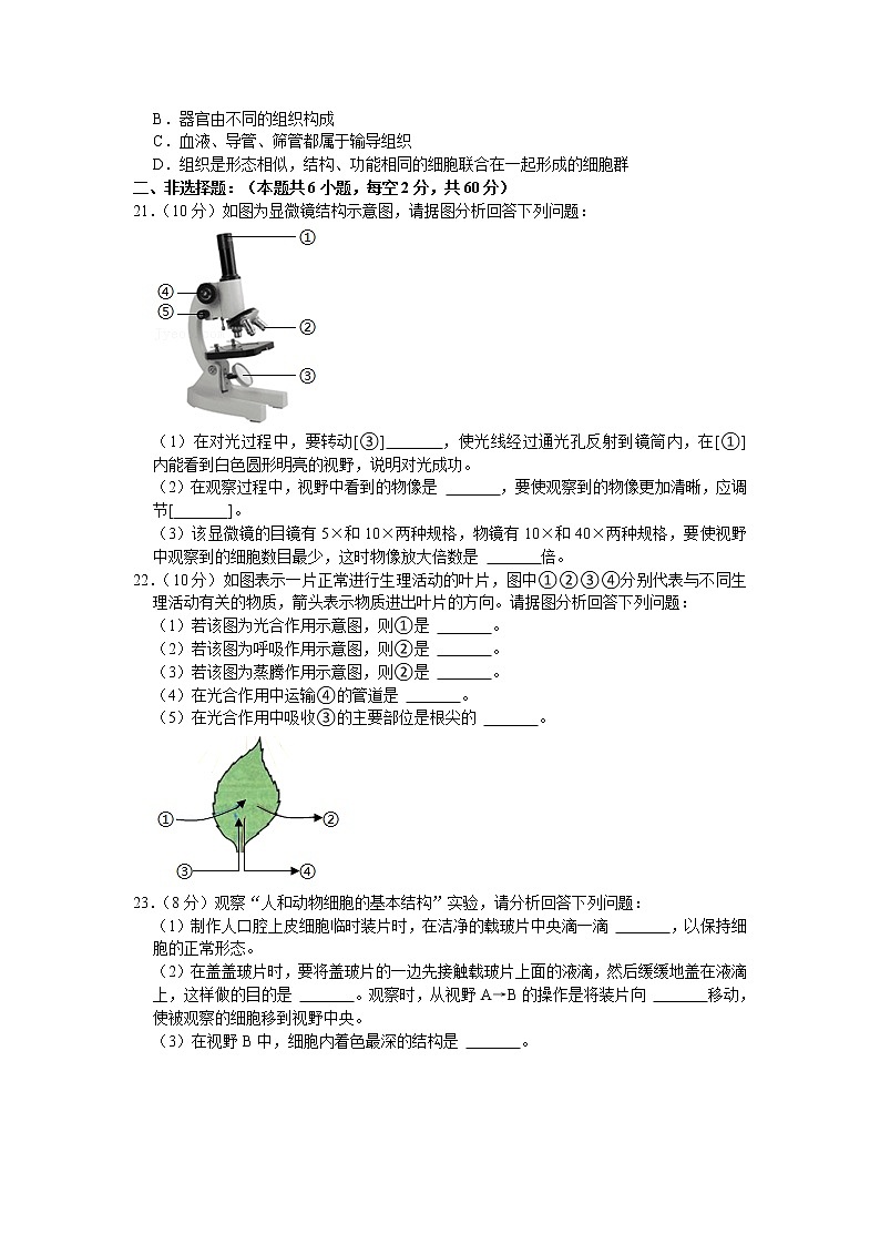 广西贵港市覃塘区2020-2021学年七年级上学期期末考试生物试卷（word版 含答案）03