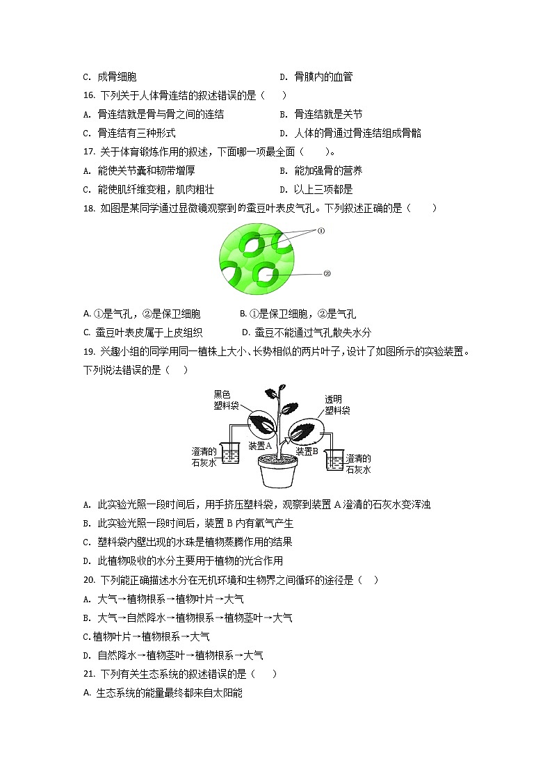 江苏省苏州市太仓市实验中学2021-2022学年八年级（上）生物期末复习试卷（3）（word版 含答案）第3页