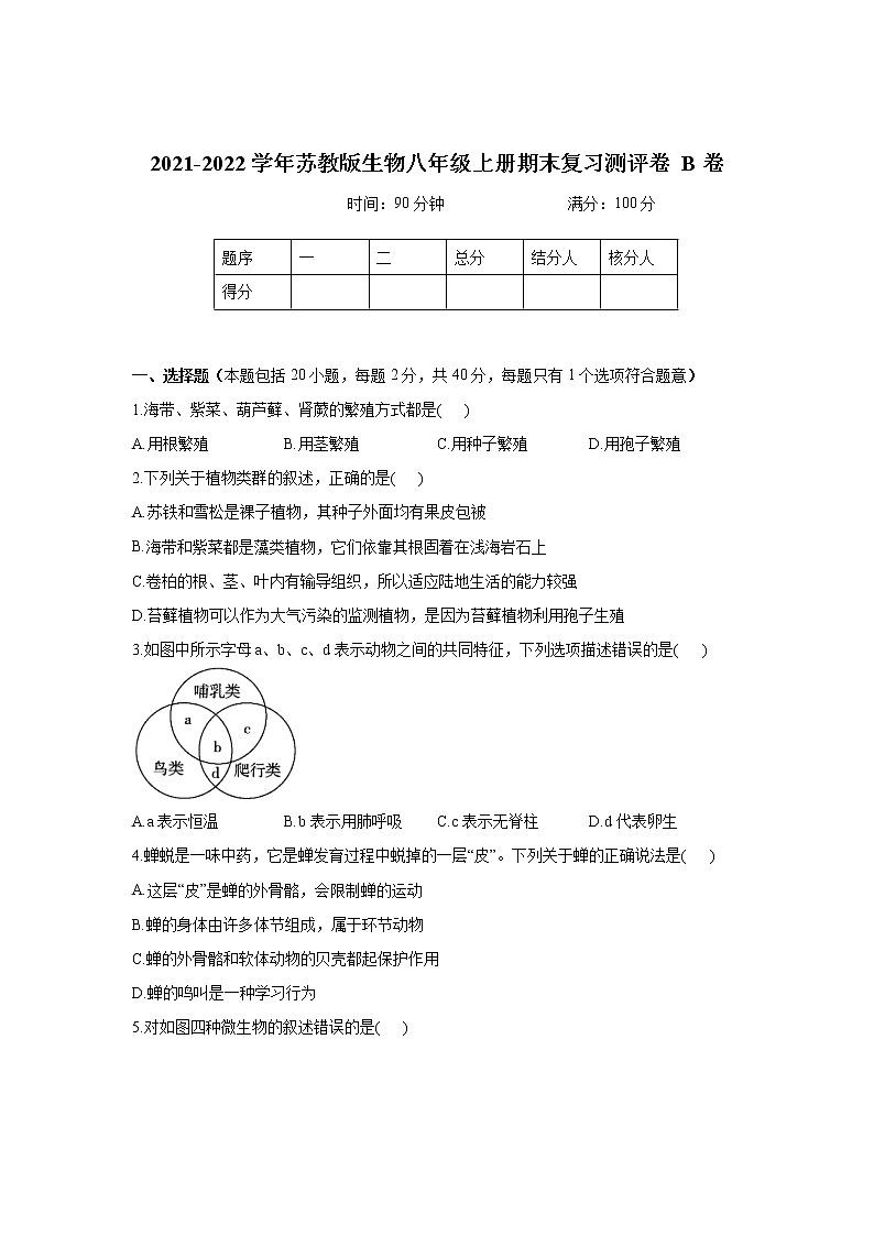 2021-2022学年苏教版生物八年级上册期末复习测评卷 B卷（word版 含答案）第1页