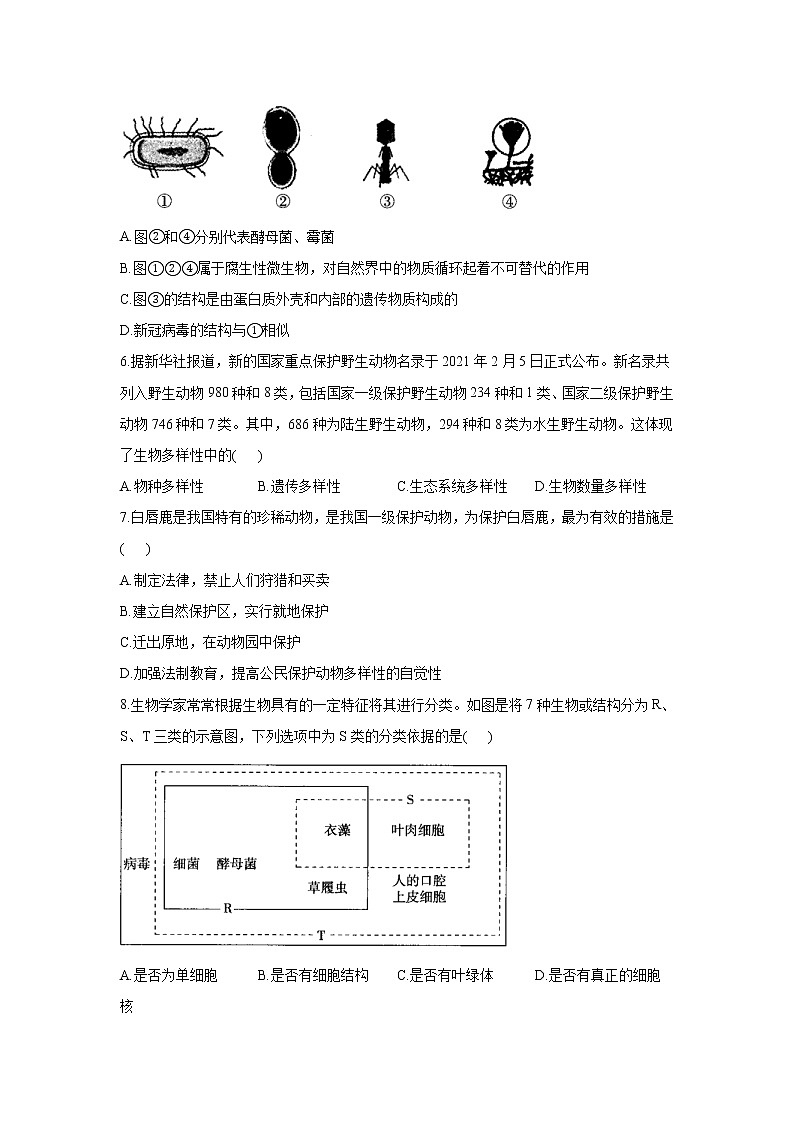 2021-2022学年苏教版生物八年级上册期末复习测评卷 B卷（word版 含答案）第2页