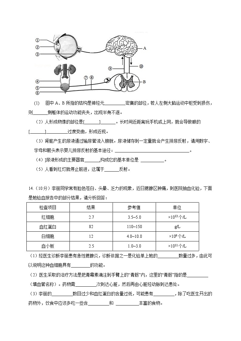 宁夏吴忠市盐池县2021-2022学年八年级上学期期末监测生物试题（word版 含答案）03