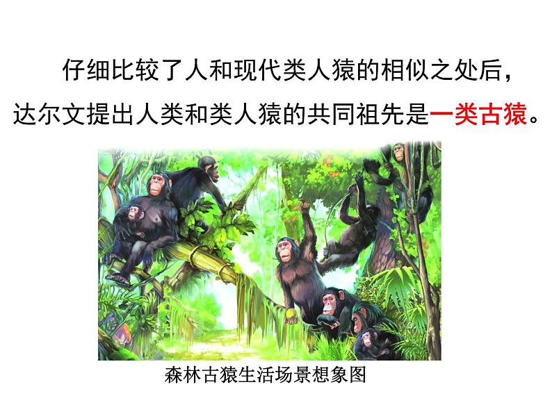 4.1.1 人类的起源和发展 课件 2021-2022学年人教版七年级生物下册第6页