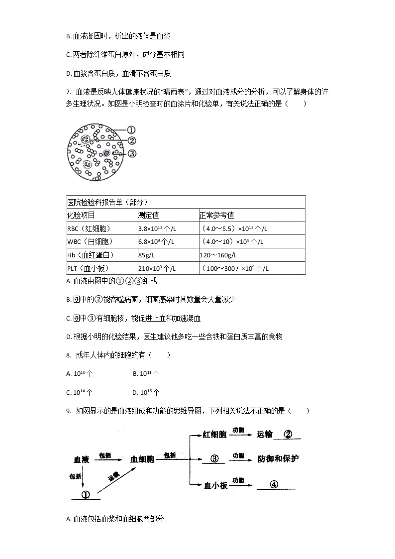 4.4.1 流动的组织——血液 课件+教案+练习  人教版七年级生物下册02