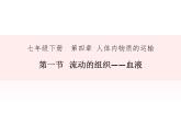 4.4.1 流动的组织——血液 课件+教案+练习  人教版七年级生物下册