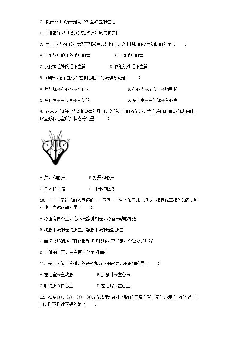 4.4.3 输送血液的泵——心脏 课件+教案+练习  人教版七年级生物下册02