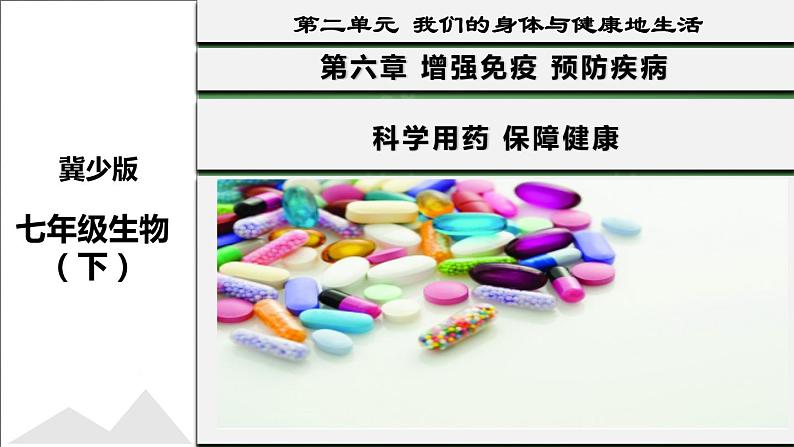 七年级生物下册（冀教版）2.7 科学用药 保障健康（课件）（共21张PPT）第1页