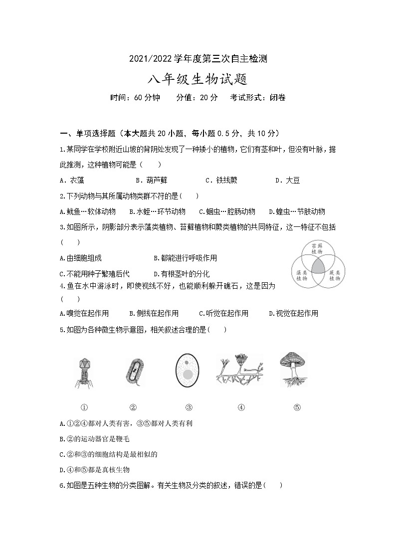江苏省盐都区第一共同体2021-2022学年八年级上学期第三次自主检测生物试卷（Word版含答案）第1页