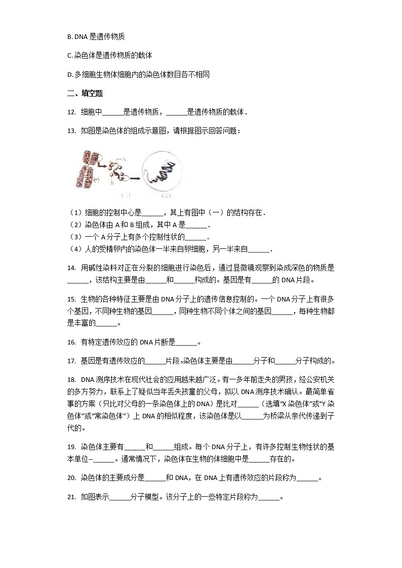 人教版生物八年级下册 7.2.2 基因在亲子代间的传递 课后练习（解析版）03