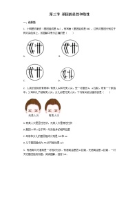 人教版 (新课标)八年级下册第七单元 生物圈中生命的延续和发展第二章  生物的遗传和变异第三节  基因的显性和隐性精品当堂达标检测题