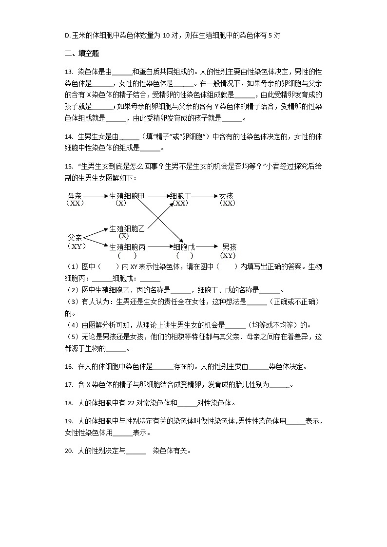 人教版生物八年级下册 7.2.4 人的性别遗传 课后练习（解析版）03