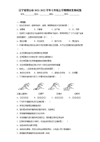 辽宁省营口市2021-2022学年七年级上学期期末生物试题（word版 含答案）