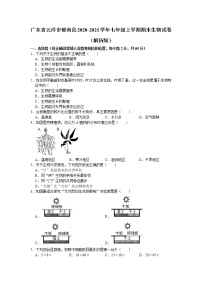 广东省云浮市郁南县2020-2021学年七年级上学期期末生物试卷（word版 含答案）