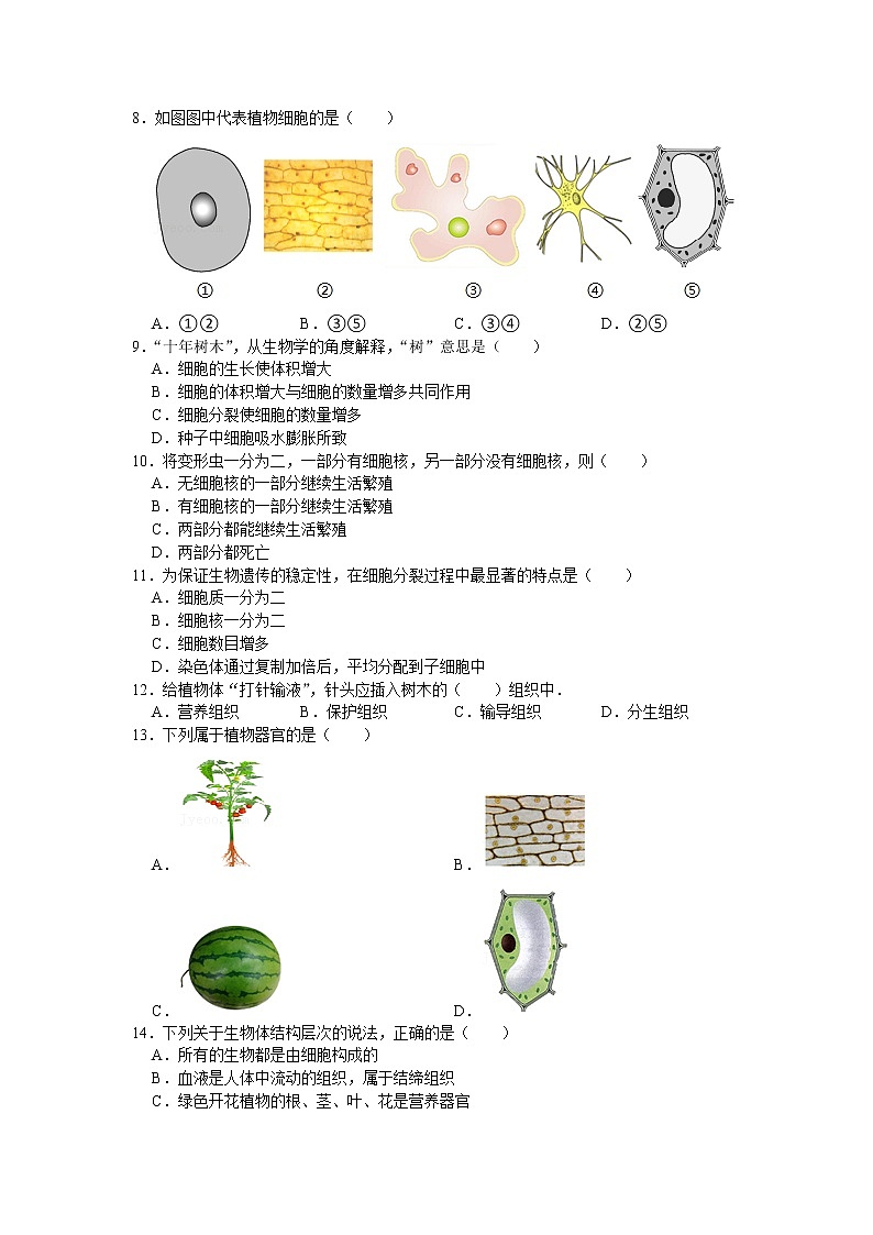 广东省云浮市郁南县2020-2021学年七年级上学期期末生物试卷（word版 含答案）02