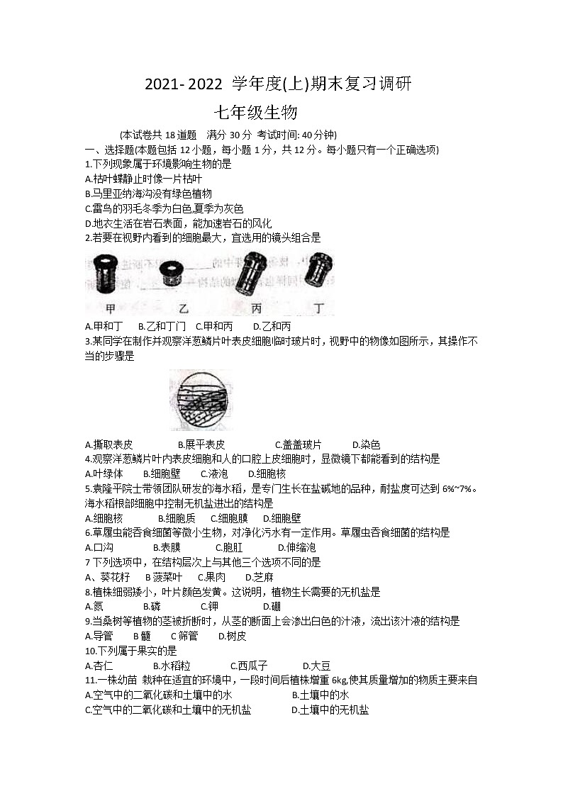 辽宁省沈阳市虹桥中学2021-2022学年七年级上学期期末复习调研生物试卷（word版 含答案）01