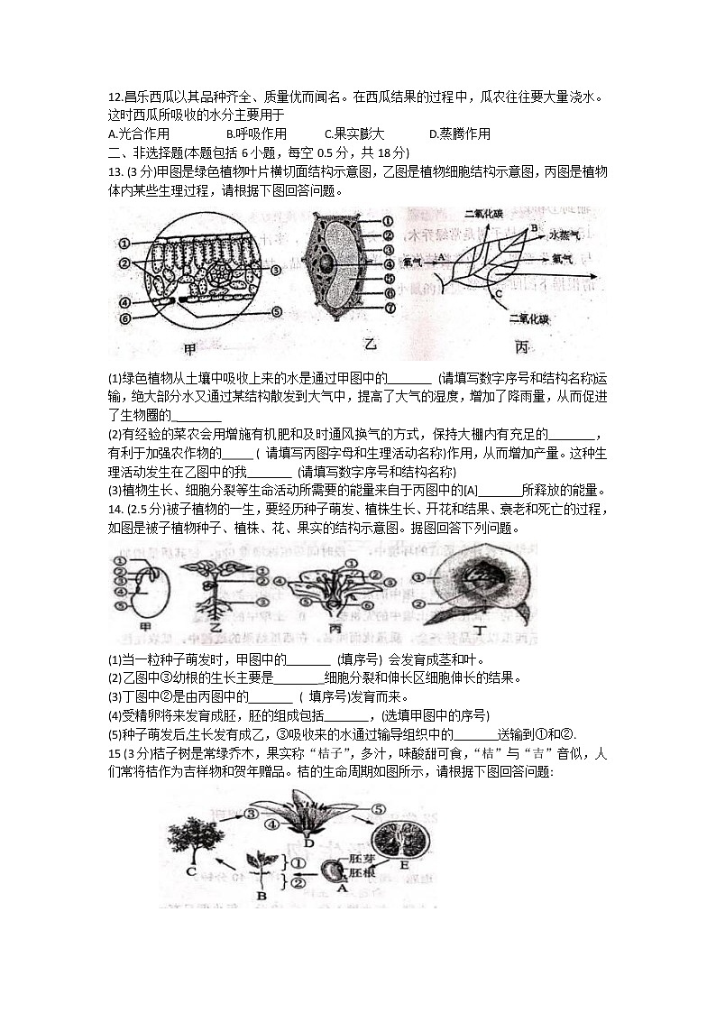 辽宁省沈阳市虹桥中学2021-2022学年七年级上学期期末复习调研生物试卷（word版 含答案）02