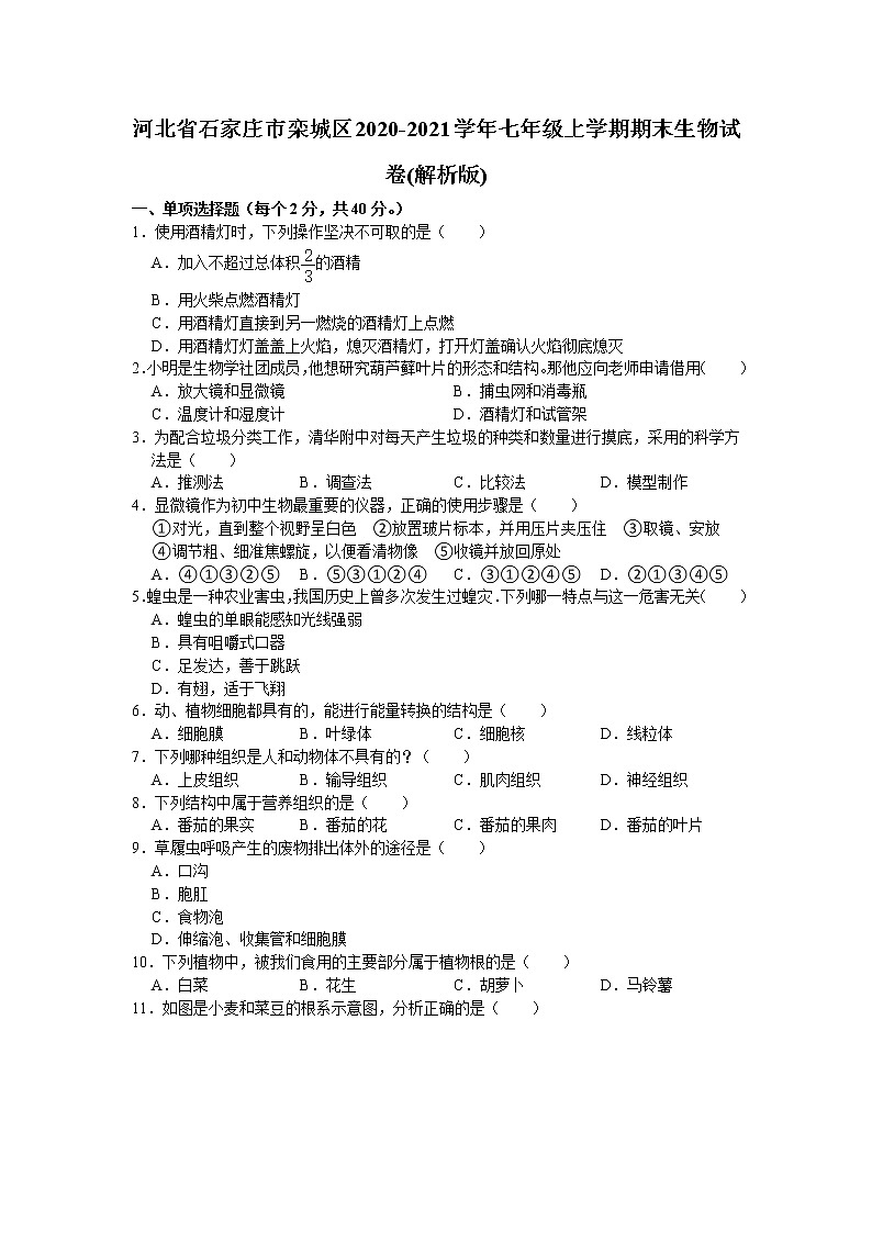 河北省石家庄市栾城区2020-2021学年七年级上学期期末生物试卷（word版 含答案）第1页