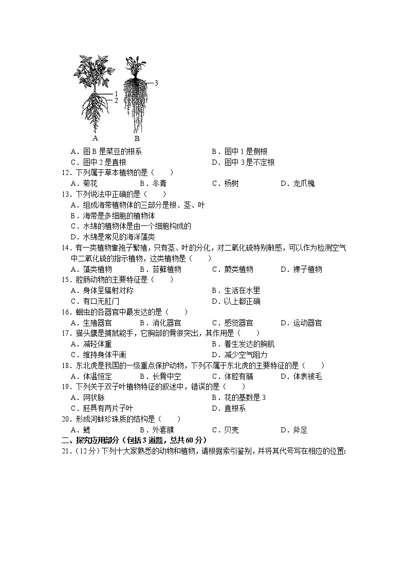 河北省石家庄市栾城区2020-2021学年七年级上学期期末生物试卷（word版 含答案）第2页
