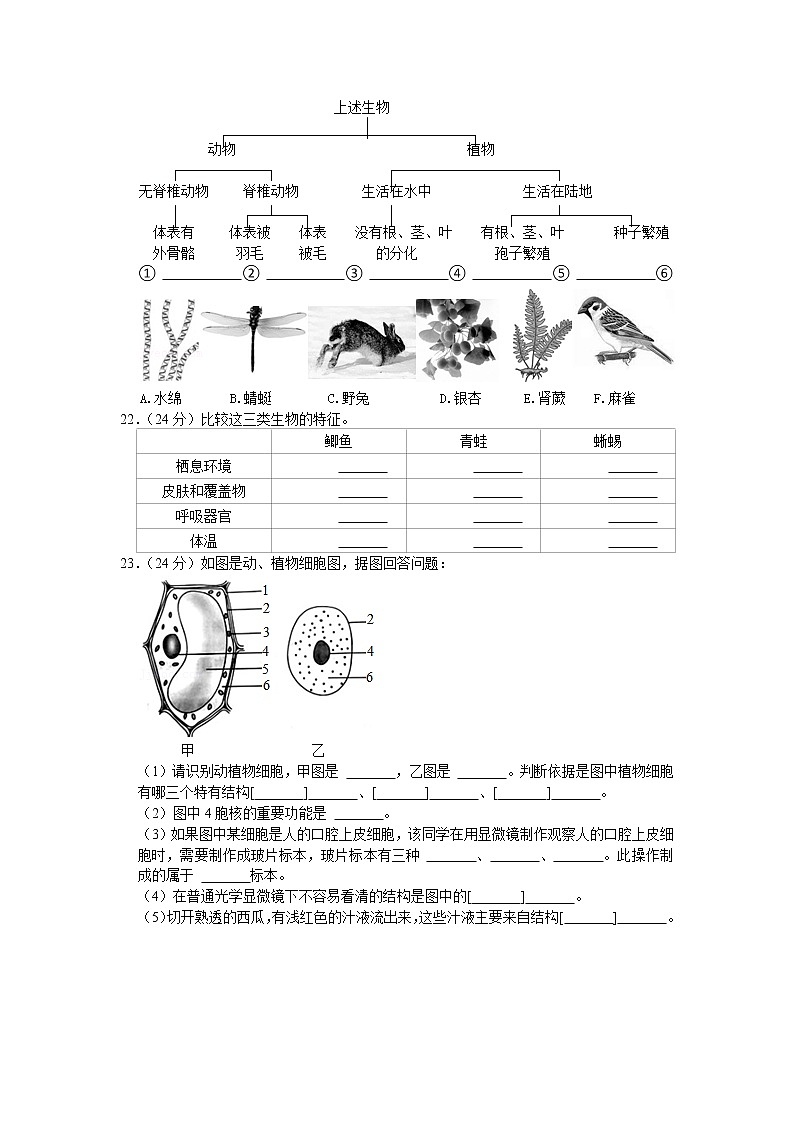 河北省石家庄市栾城区2020-2021学年七年级上学期期末生物试卷（word版 含答案）第3页