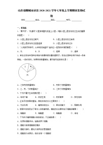 山东省聊城市冠县2020-2021学年七年级上学期期末生物试题（word版 含答案）