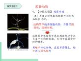 无脊椎动物的主要类群PPT课件免费下载