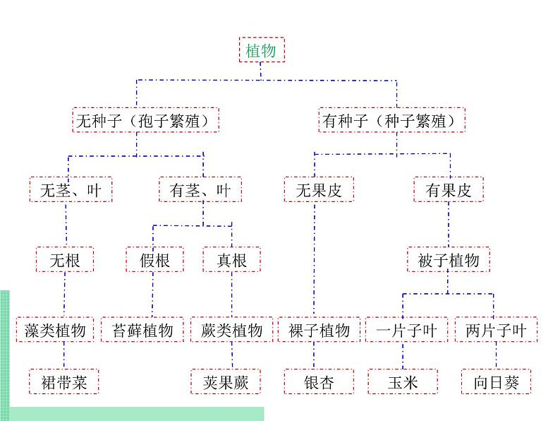 生物的分类方法PPT课件免费下载06