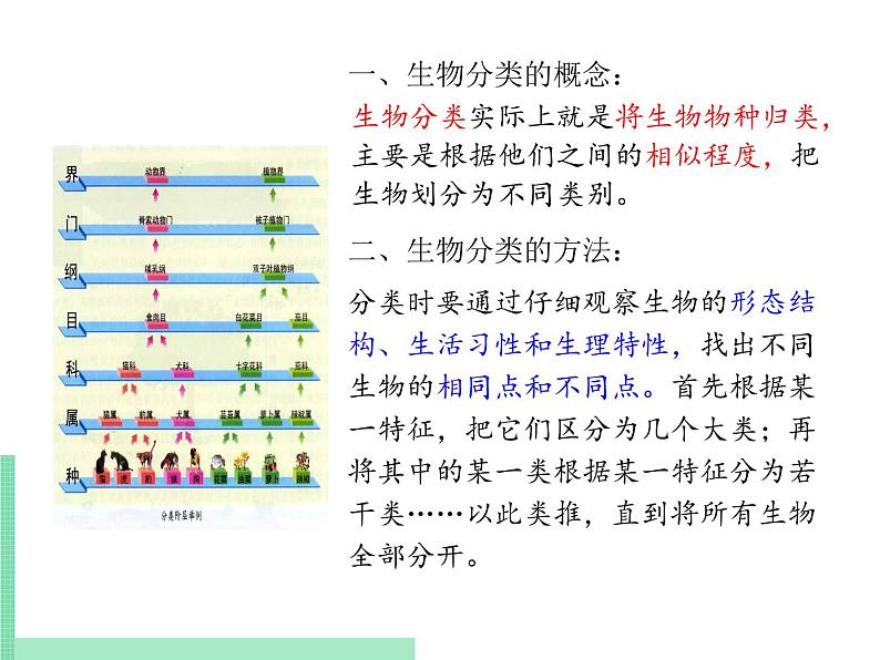 生物的分类方法PPT课件免费下载07