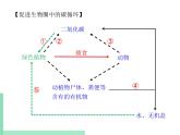 微生物在生物圈中的作用PPT课件免费下载