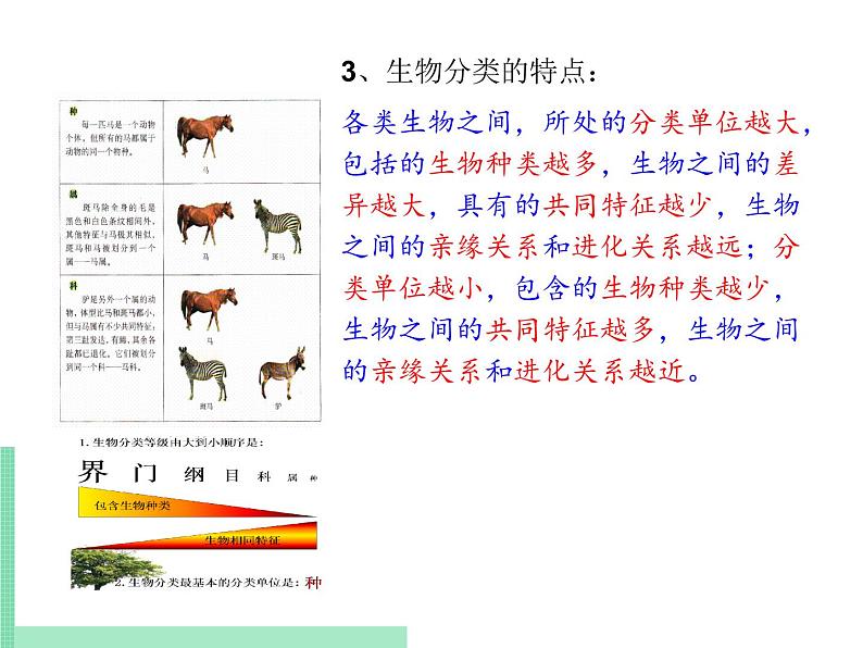 2.4.2  生物的分类单位 课件 初中生物济南版 七年级上册（2021年）第7页