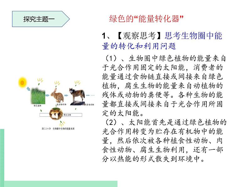 绿色植物在生物圈中的作用PPT课件免费下载04