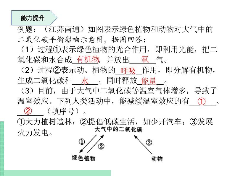 绿色植物在生物圈中的作用PPT课件免费下载06