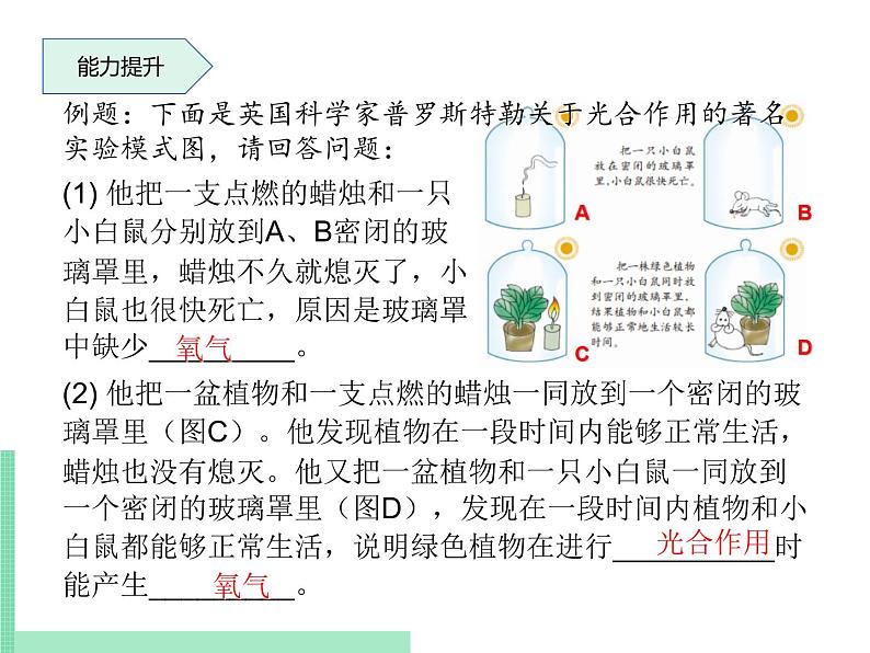 绿色植物在生物圈中的作用PPT课件免费下载08