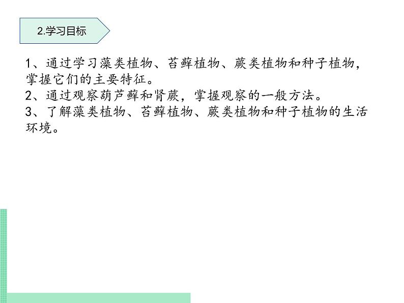 2.1.1 绿色植物的主要类群 课件 初中生物济南版 七年级上册（2021年）第3页