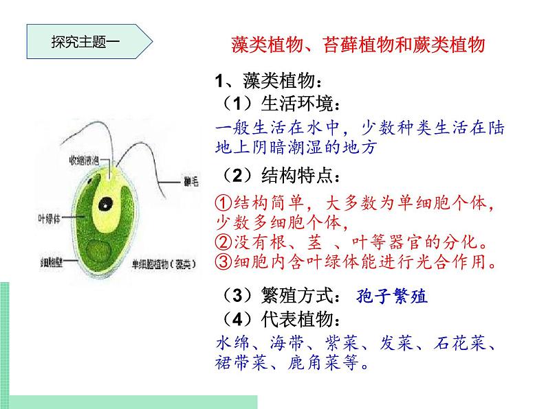 2.1.1 绿色植物的主要类群 课件 初中生物济南版 七年级上册（2021年）第4页