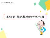 綠色植物的呼吸作用PPT課件免費(fèi)下載