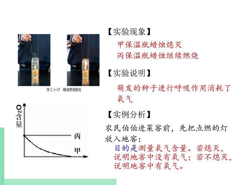 绿色植物的呼吸作用PPT课件免费下载08