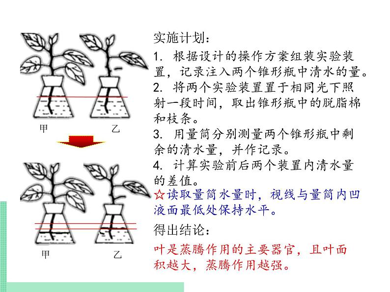 绿色植物的蒸腾作用PPT课件免费下载07