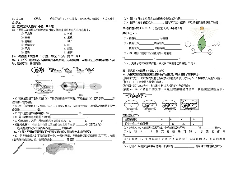 甘肃省高台县城关初级中学等四校2021-2022学年七年级上学期期末联考生物试题（word版 含答案）第2页