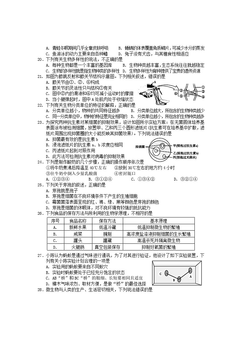 海南省海口市部分学校2021-2022年八年级上学期期末检测生物试题（word版 含答案）03