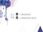 7.3.3 生物进化的原因- 2021-2022学年八年级生物下学期同步精品课件（人教版）