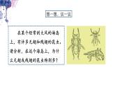 7.3.3 生物进化的原因- 2021-2022学年八年级生物下学期同步精品课件（人教版）