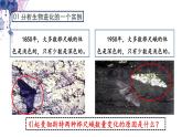 7.3.3 生物进化的原因- 2021-2022学年八年级生物下学期同步精品课件（人教版）