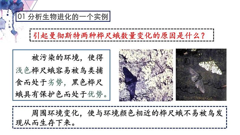 7.3.3 生物进化的原因- 2021-2022学年八年级生物下学期同步精品课件（人教版）05