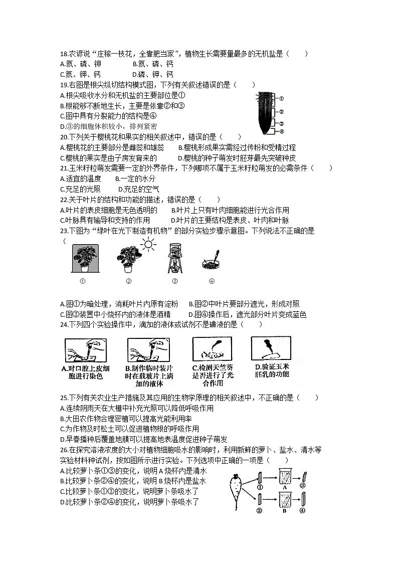 河南省洛阳市2021-2022学年七年级上学期期末考试生物试卷（word版 含答案）第3页