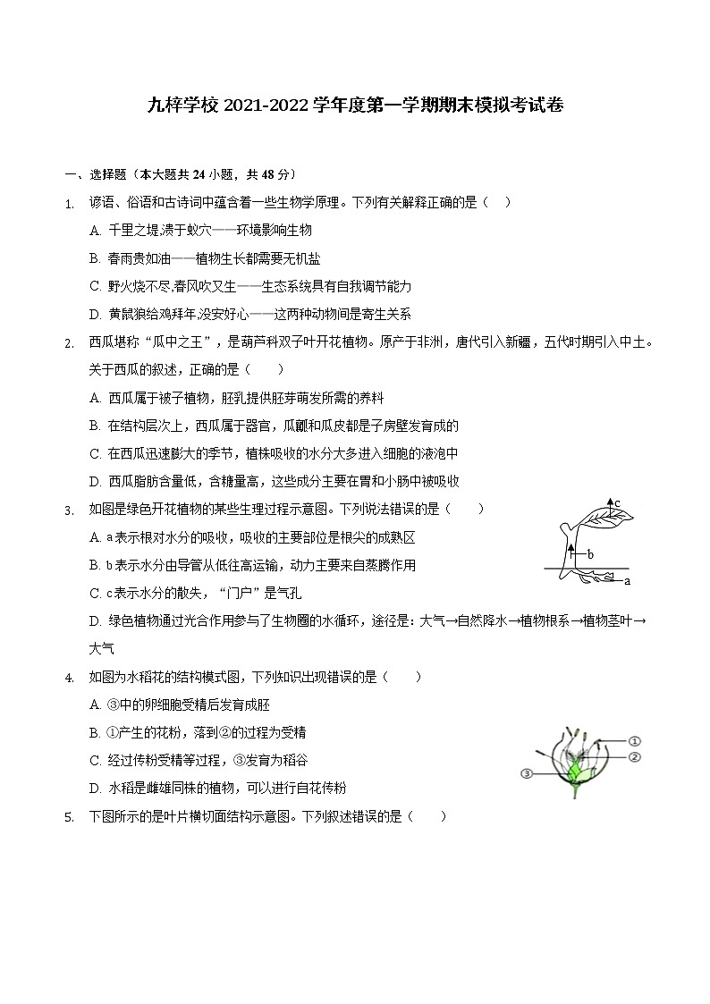 安徽省定远县九梓学校2021-2022学年上学期七年级生物期末模拟考试卷（word版 含答案）01