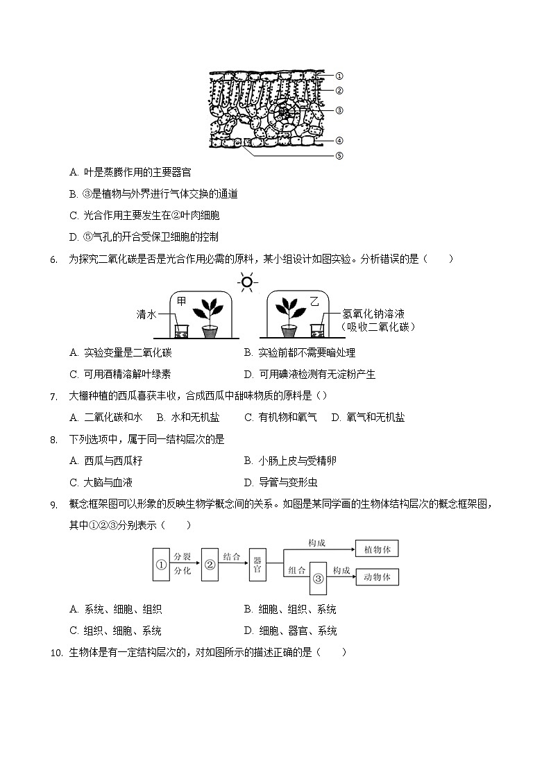 安徽省定远县九梓学校2021-2022学年上学期七年级生物期末模拟考试卷（word版 含答案）02