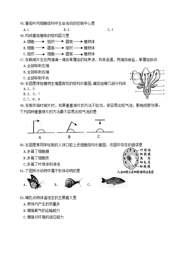 江苏省淮安地区2020-2021学年七年级下学期期末检测生物试卷（word版 含答案）第2页